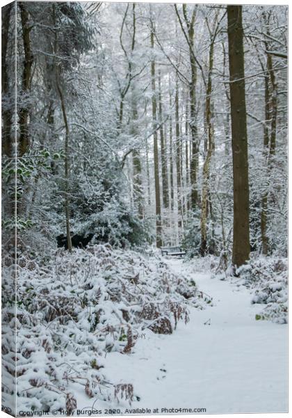 Winter in the Forest  Canvas Print by Holly Burgess