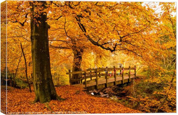 Autumn's Allure at Longshaw Estate Canvas Print by Holly Burgess