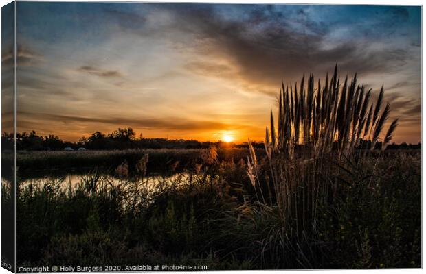 Dawn's Embrace in Camargue Marsh Canvas Print by Holly Burgess