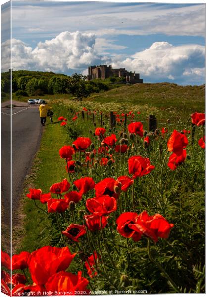 Bamburgh Castle Northumberland  Canvas Print by Holly Burgess