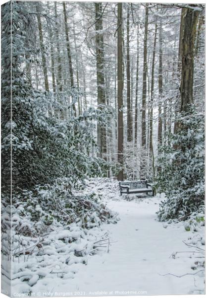 Winter's Embrace: Snow-Cloaked Forest Vista Canvas Print by Holly Burgess