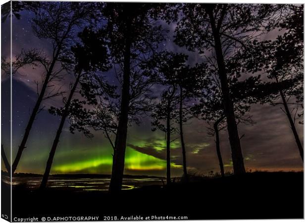 Tree Aurora Canvas Print by D.APHOTOGRAPHY 