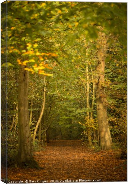 Autumn Walks High Elms Canvas Print by Gary Cooper