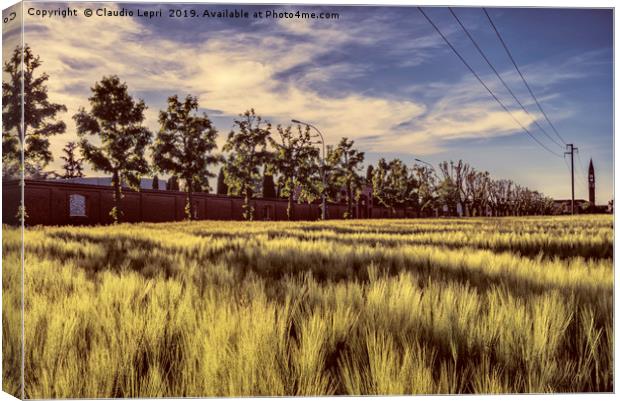 City wheatfield Canvas Print by Claudio Lepri