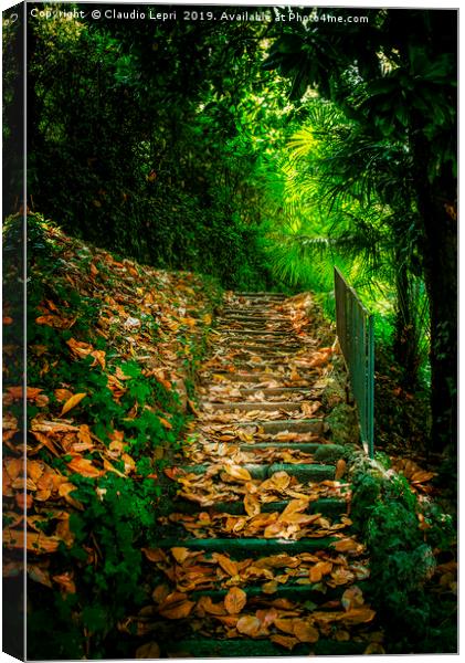 Nature Hill. Steps on golden leaves. Canvas Print by Claudio Lepri