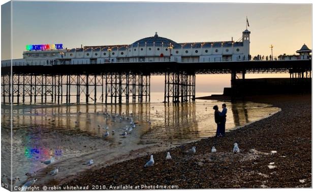 Love Birds on Brighton Beach Canvas Print by robin whitehead