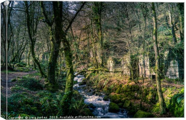 kennal vale woods Canvas Print by craig parkes