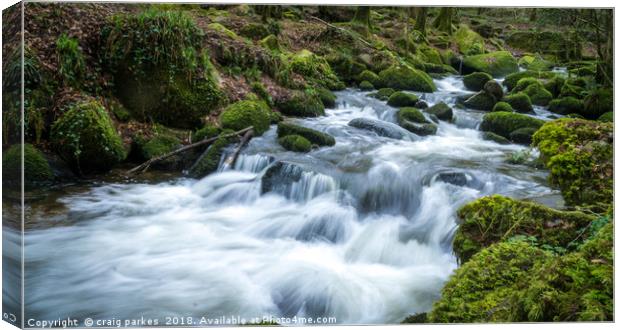 kennal vale woods Canvas Print by craig parkes