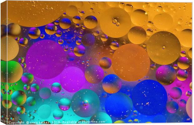 water and oil  Canvas Print by craig parkes