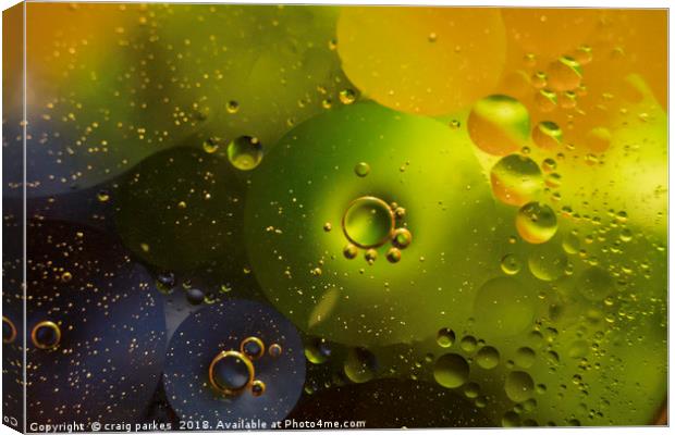 water and oil digital art Canvas Print by craig parkes