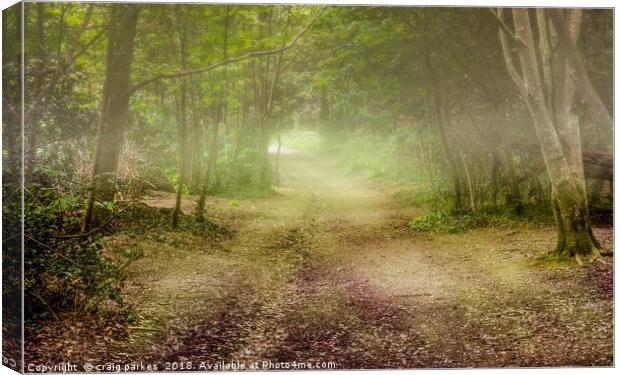 Tehidy Woods covered in mist Canvas Print by craig parkes