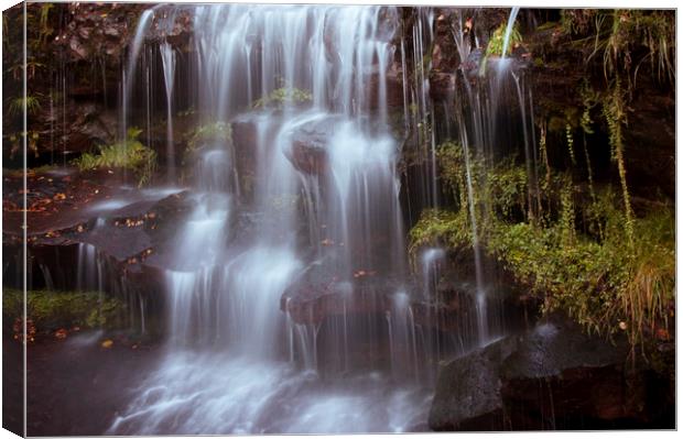 Water curtain Canvas Print by Emil Vlajic