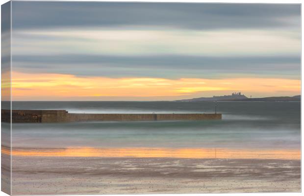 Beadnell Harbour Canvas Print by Tony Higginson