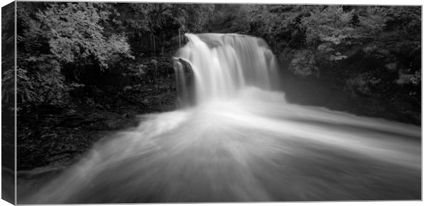 Falls of Falloch Canvas Print by Tony Higginson