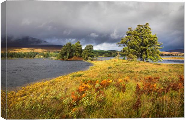 Loch Tulla Canvas Print by Tony Higginson
