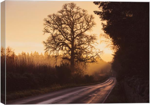 Inverness sunset Canvas Print by Tony Higginson