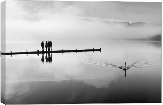 Swan and walkers at Miller Ground Canvas Print by Tony Higginson