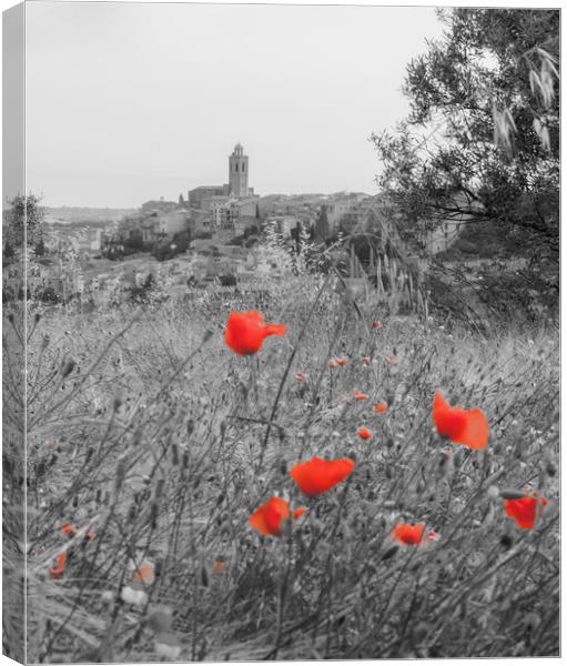 Poppy fields forever Canvas Print by Lara Goodwin