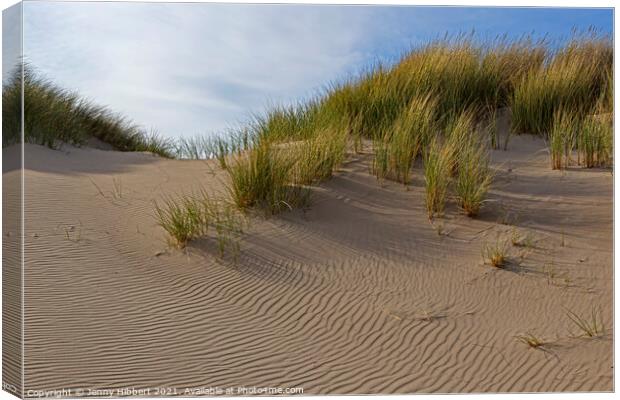 Marram grass on Ynyslas sand dunes Canvas Print by Jenny Hibbert