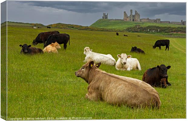 Dunstanburgh Castle with cows in the field Canvas Print by Jenny Hibbert
