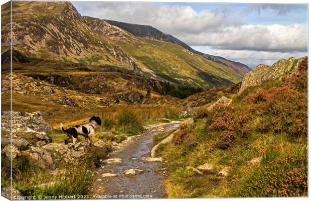 Cwm Idwal North Wales Canvas Print by Jenny Hibbert