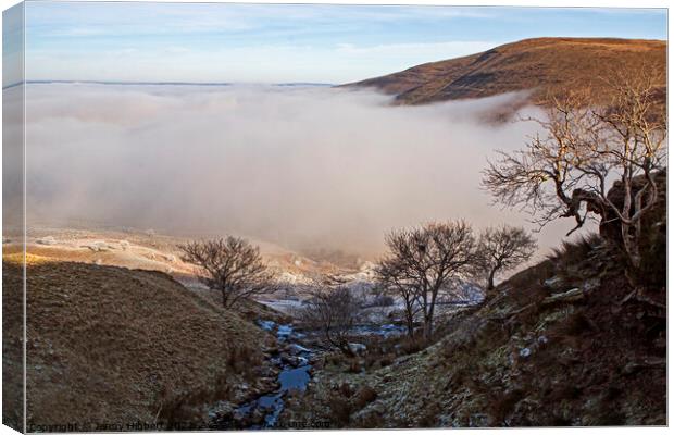 Freezing fog above Storey Arms with Pen Y Fan in the distance Canvas Print by Jenny Hibbert
