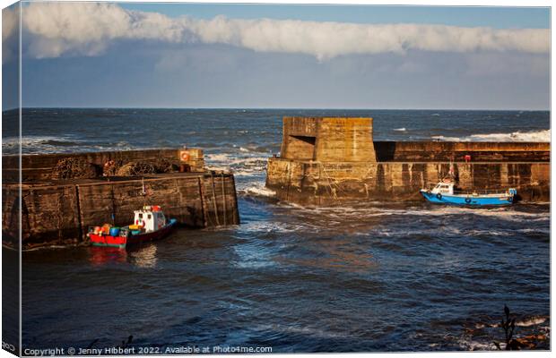 Craster Harbour Northumberland Canvas Print by Jenny Hibbert