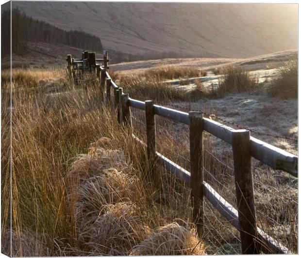 Fence on a frosty morning in the Brecon beacons Wa Canvas Print by Jenny Hibbert