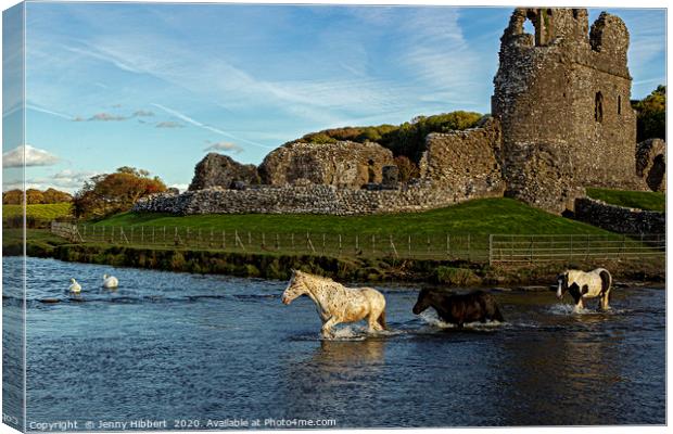Horses crossing river at Ogmore Castle Canvas Print by Jenny Hibbert