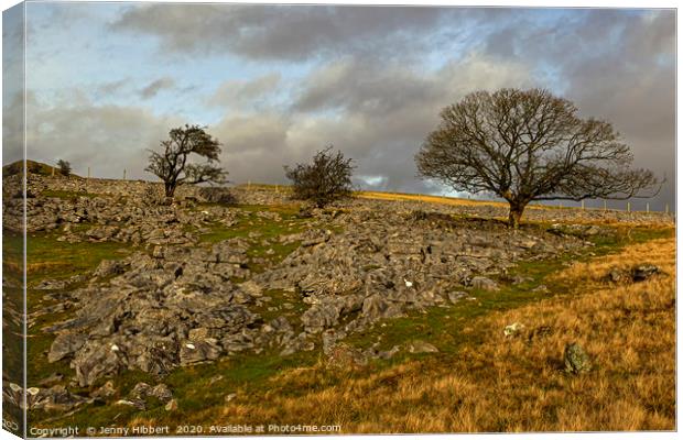 Trees growing in the limestone Canvas Print by Jenny Hibbert