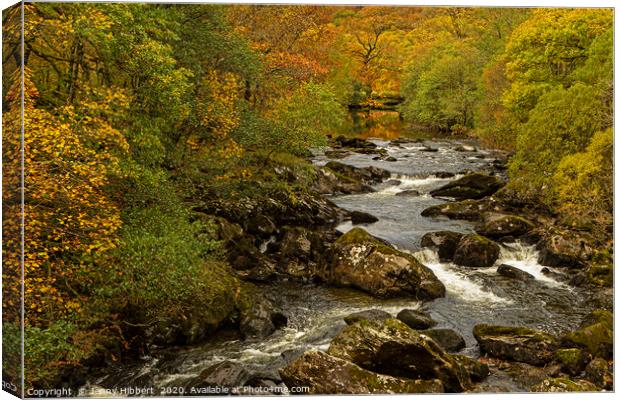 River flowing near to Capel Curig Conwy  Canvas Print by Jenny Hibbert