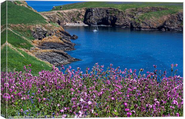Skomer Island Pembrokeshire with the Pink Campion is flowering Canvas Print by Jenny Hibbert