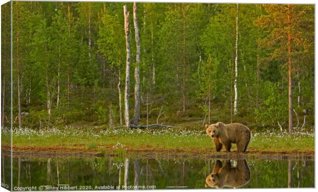 Brown bear standing next to lake Canvas Print by Jenny Hibbert