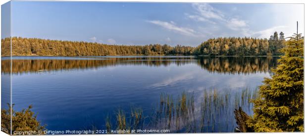 Tonnersjo Lake Panorama Canvas Print by DiFigiano Photography