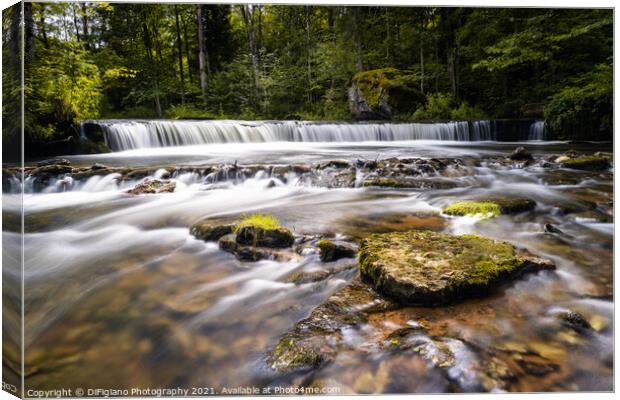 Nommeveski Falls Canvas Print by DiFigiano Photography