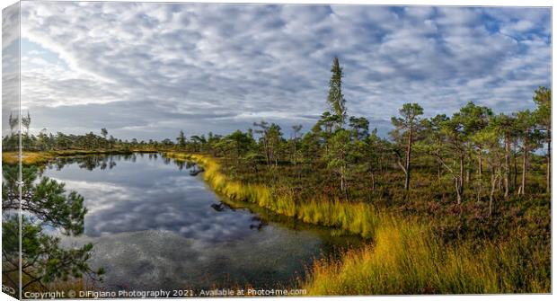 Kemeri Bog Canvas Print by DiFigiano Photography