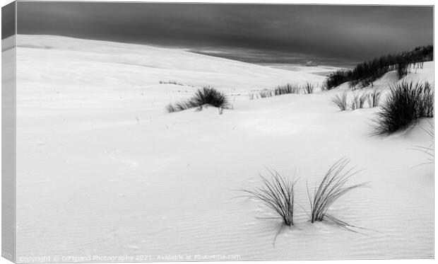White Sands of Leba Canvas Print by DiFigiano Photography