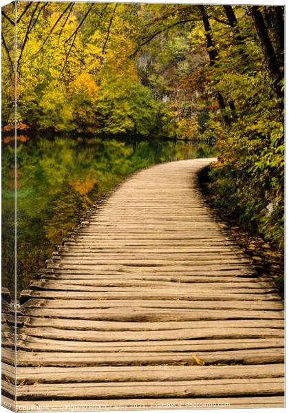 Lakeside Boardwalk 2 Canvas Print by DiFigiano Photography