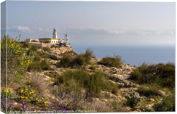 Mesa de Roldan Lighthouse Canvas Print by DiFigiano Photography