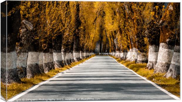 Alentejo Autumn Country Road Canvas Print by DiFigiano Photography