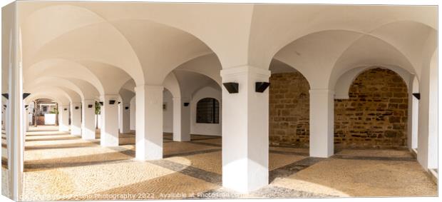 Olivenza Arches Canvas Print by DiFigiano Photography