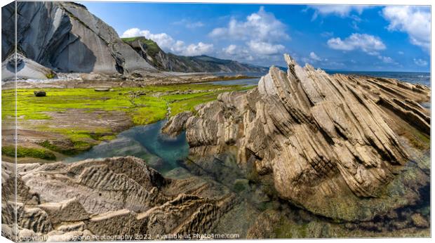 Zumaia Flysch Canvas Print by DiFigiano Photography