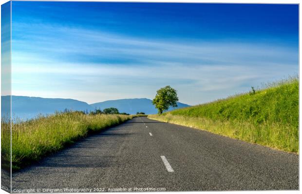 The Open Road Canvas Print by DiFigiano Photography