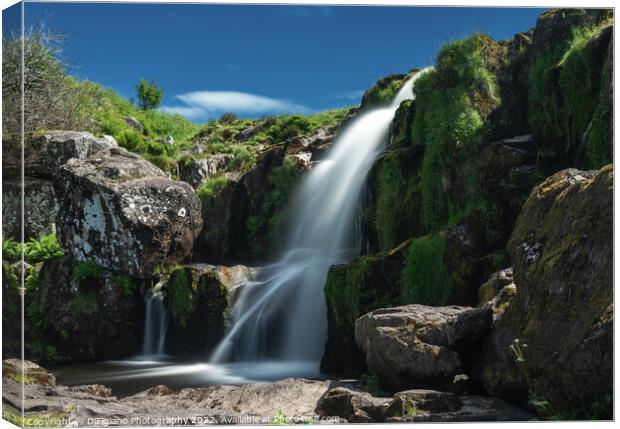 Loup of Fintry Upper Falls Canvas Print by DiFigiano Photography