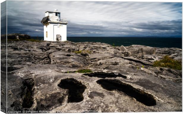 Black Head Lighthouse Canvas Print by DiFigiano Photography