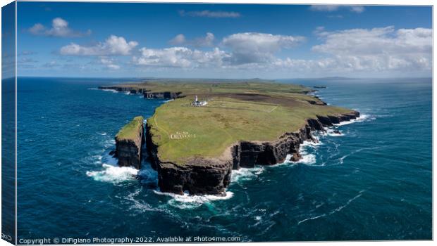 Loop Head Canvas Print by DiFigiano Photography