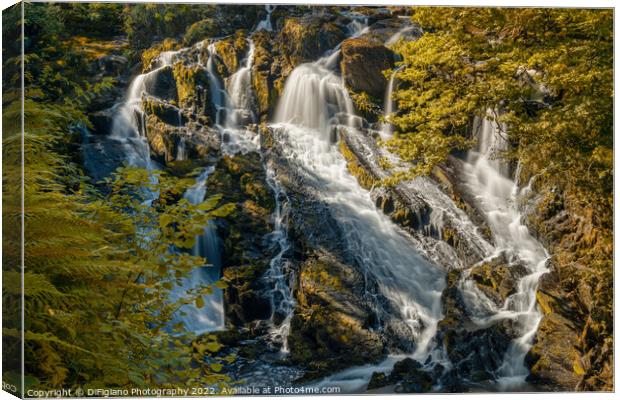 Swallow Falls Canvas Print by DiFigiano Photography