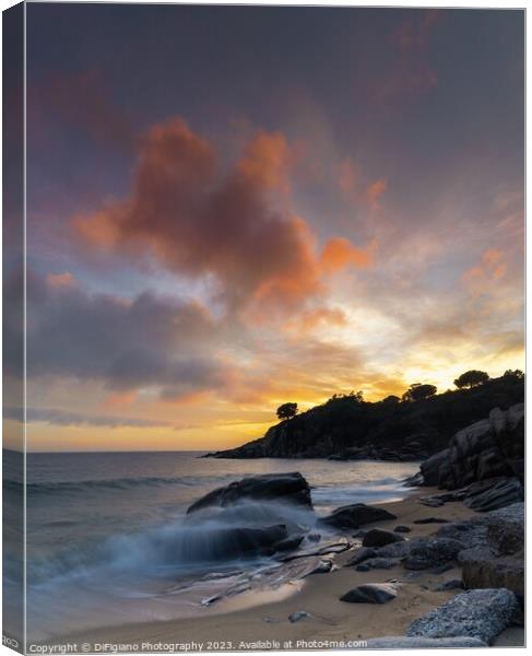 Cavoli Beach Sunset Canvas Print by DiFigiano Photography