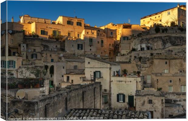 Last Rays Canvas Print by DiFigiano Photography