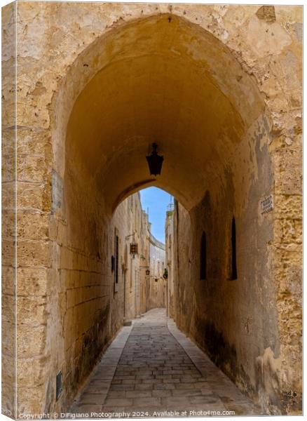 Alley Arch Canvas Print by DiFigiano Photography
